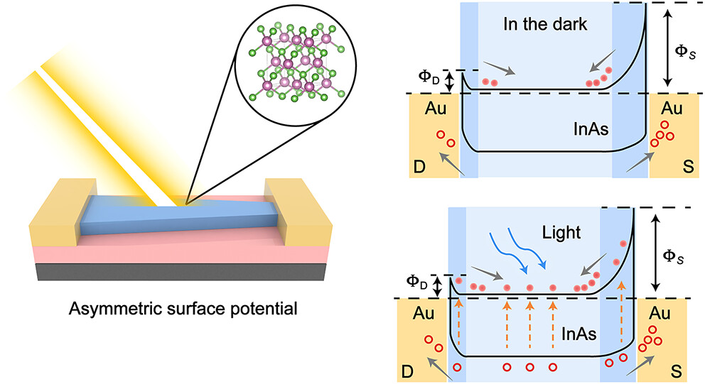 ACS Applied Materials & Interfaces graphical abstract，第 1 张